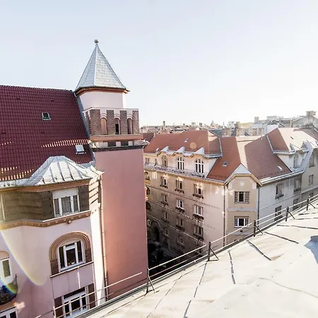 Animal Planet By Stn Apartman