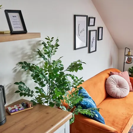 Animal Planet By Stn Budapeszt