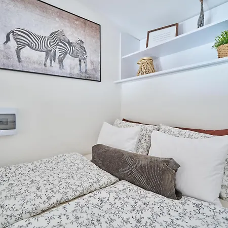 Animal Planet By Stn Apartment