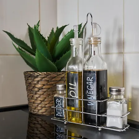 Animal Planet By Stn Budapeszt