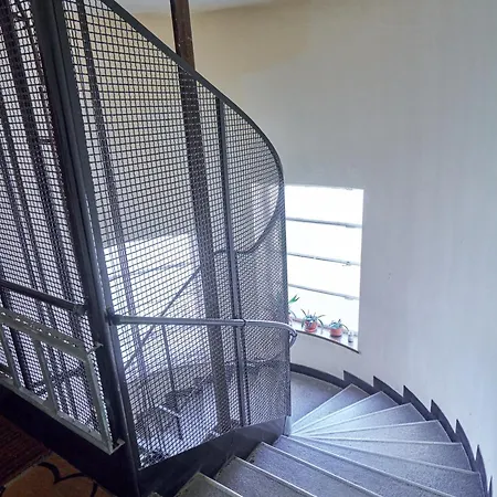 Animal Planet By Stn *