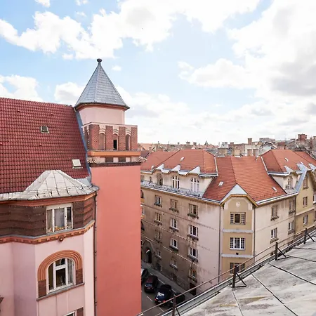 Animal Planet By Stn Lejlighed *