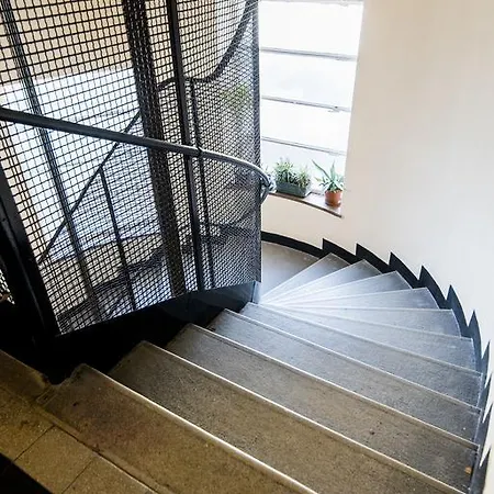 Animal Planet By Stn * Budapest